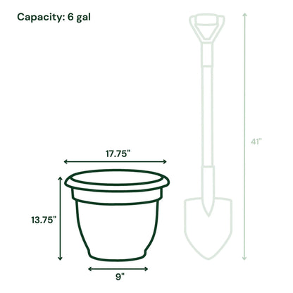 Ariana 16" Self-Watering Plastic Planter - Rolled Rim Indoor/Outdoor Garden Pot, Charcoal